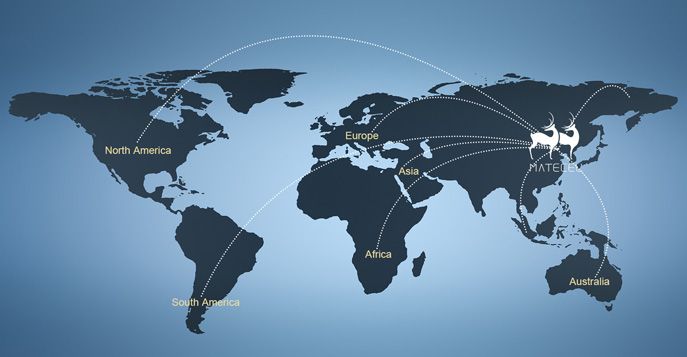 Os produtos foram exportados para muitos países e regiões, como o Sudeste Asiático, a Rússia, a América Latina e o Oriente Médio, e a qualidade e a embalagem dos produtos foram amplamente reconhecidas no mercado global.